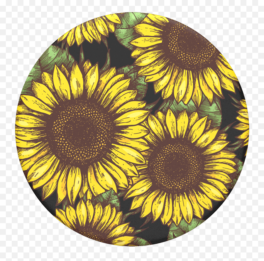 Download Poder De Girasol Popsockets - Fawn John Popsockets Popsocket Sunflower Emoji,Girasol Png