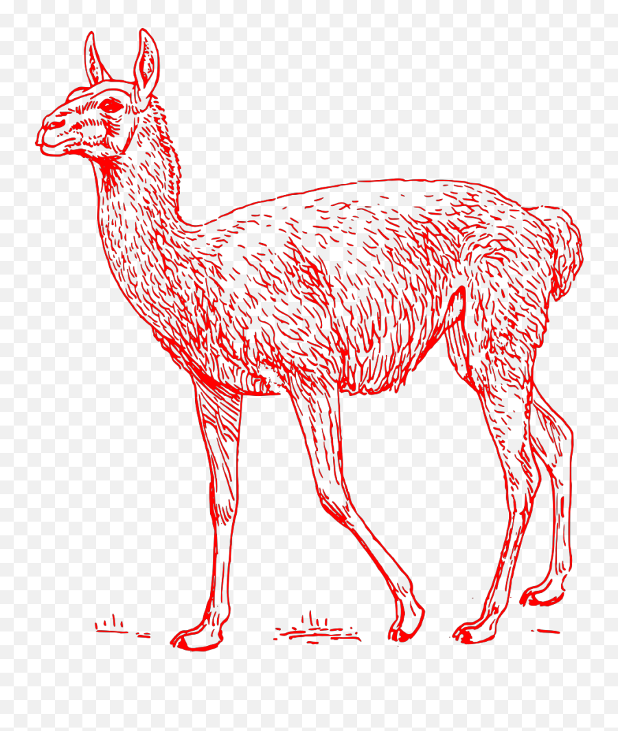 Red Llama Outline Svg Vector Red Llama Outline Clip Art Emoji,Llamas Clipart