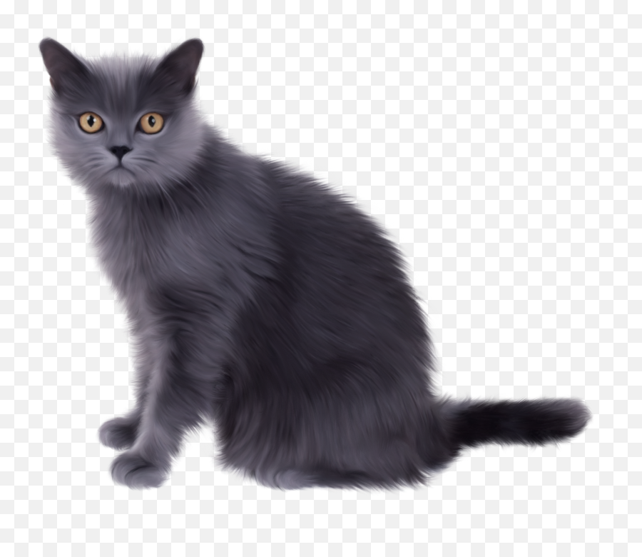 Library Of Cat Image Freeuse Download Transparent Background - Siamese Persian Cat Gray Emoji,Cat Transparent Background