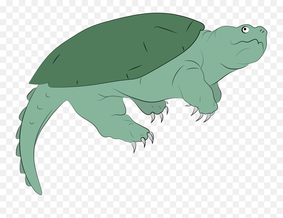 Snapping Turtles And Your Lake - Snapping Turtle Parts Emoji,Turtle Transparent
