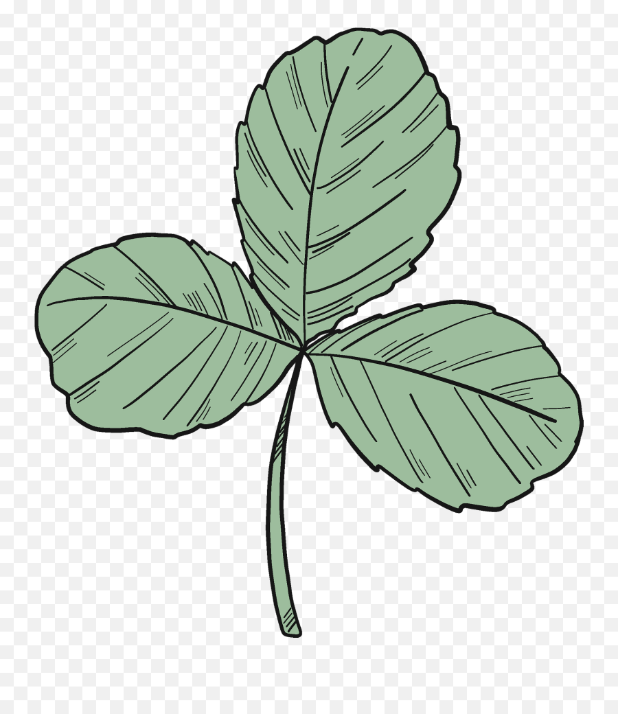 Three Leaf Clover Clipart Free Download Transparent Png - Poison Ivy Emoji,Clover Clipart