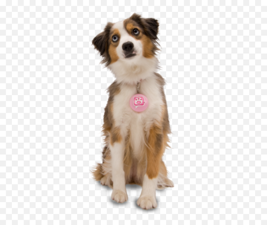 Hd Cute Dog Png Emoji,Cute Dog Png
