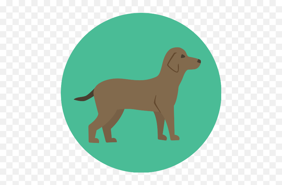 Dog Puppy Sitting In Front Of His Man Vector Svg Icon - Png Flat Animal Icon Png Emoji,Puppy Png