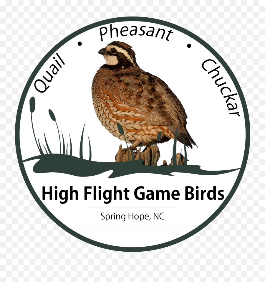 High Flight Game Birds U2013 Quail Pheasant And Chukar Growers - Northern Bobwhite Emoji,T Birds Logo