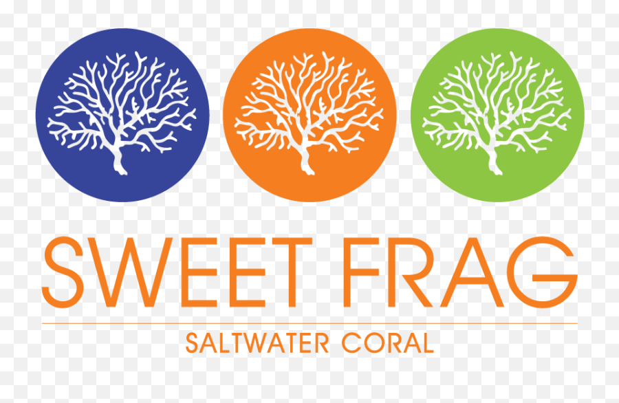 Sweet Frag Sunkist Bounce - New Era University College Logo Transparent Emoji,Sunkist Logo