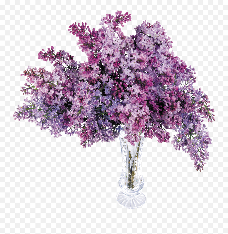 Good Purple Flower Clipart Transparent Background Collection Emoji,Purple Flower Transparent