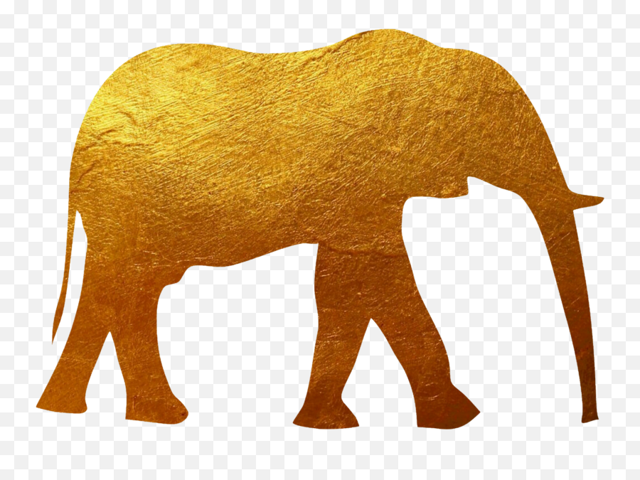 Elephant Gold Sticker By Nate - Transparent Gold Elephant Png Emoji,Elephant Transparent Background