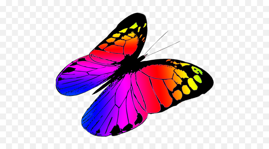Butterflies Butterfly Clipart 6 - Clipartix Clipart Flying Colorful Butterfly Emoji,Butterflies Clipart