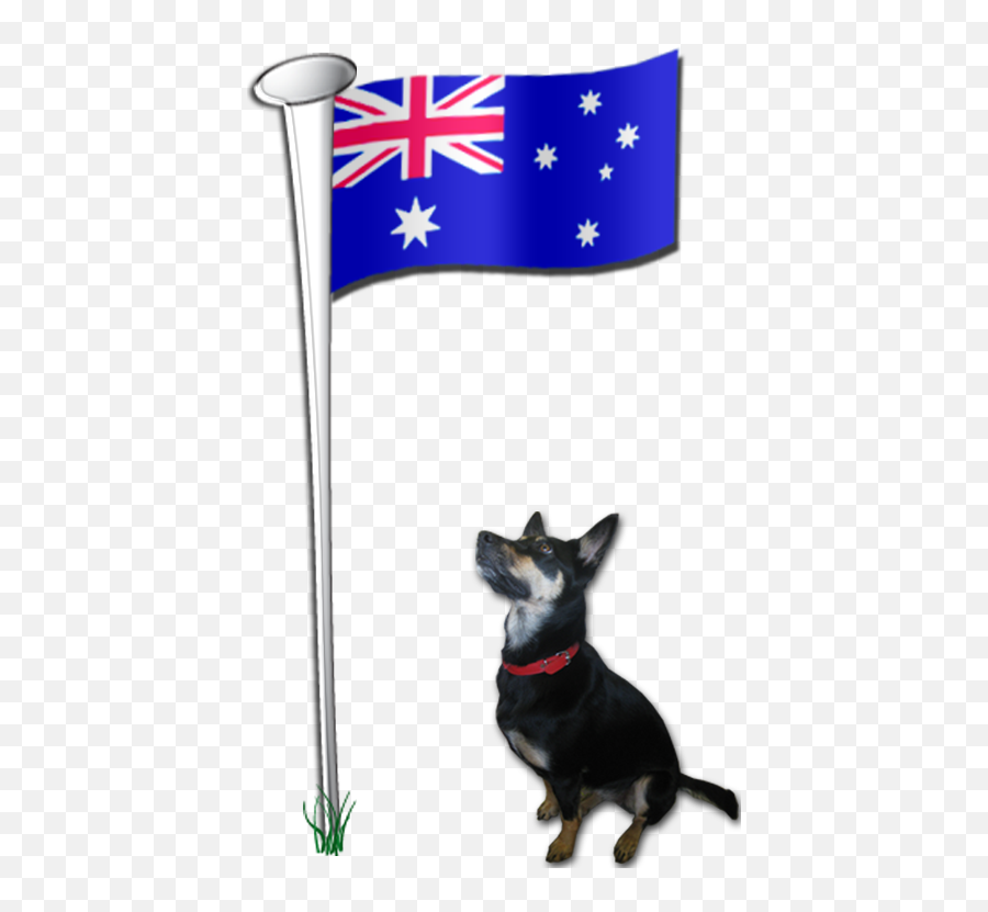 Flag Arrived Today And Is Already Flying Proudly From Emoji,American Flag On Pole Png