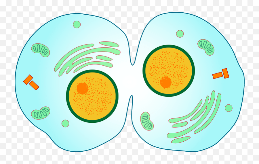 Science Clipart Free Download Transparent Png Creazilla Emoji,Science Clipart Free