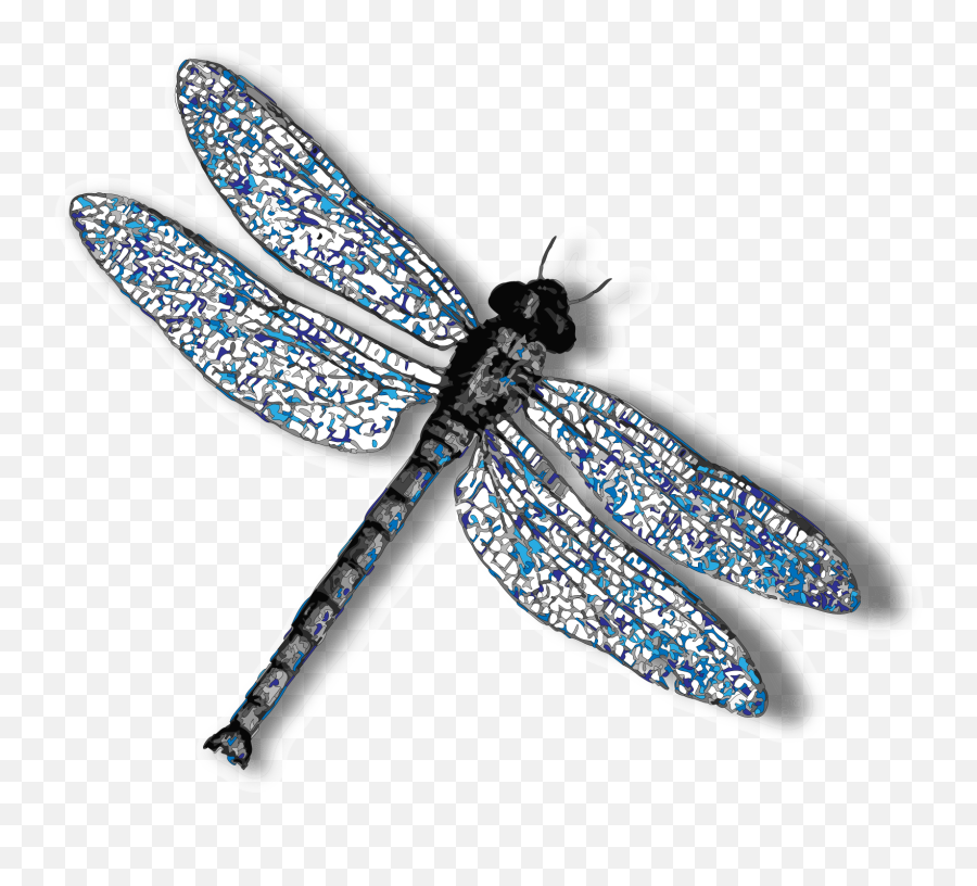 Dragonfly Png Background Image - Transparent Background Dragonfly Transparent Emoji,Dragonfly Png