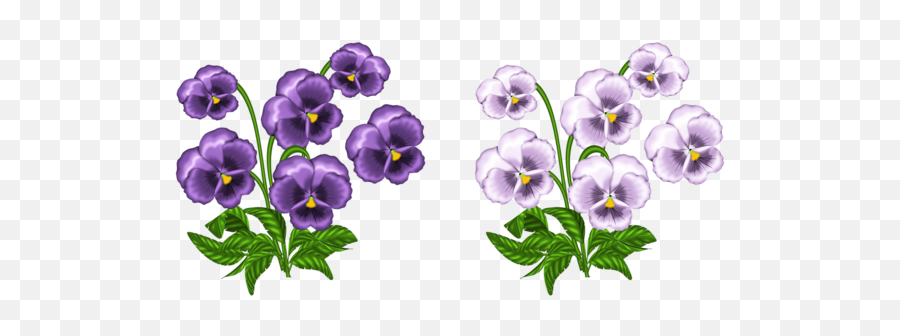 African Violet Clipart - Delta Sigma Theta African Violet Clipart Emoji,Violet Clipart