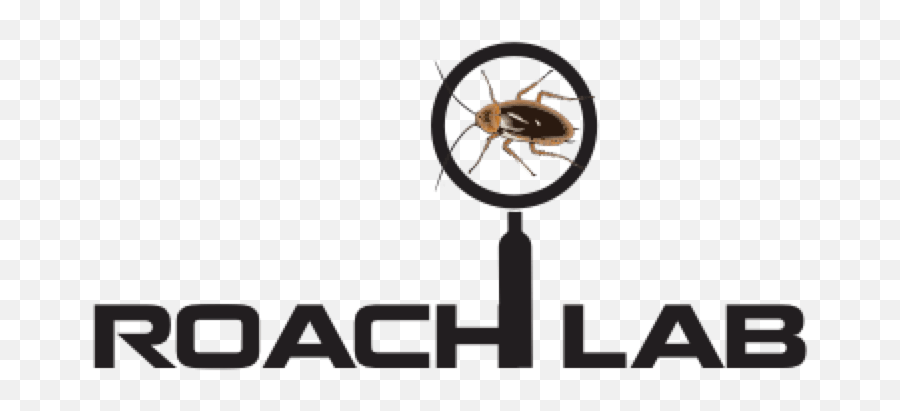 Roach Lab - Parasitism Emoji,Cockroach Png
