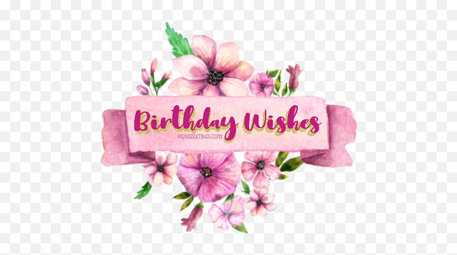 Happy Birthday - Friend Birthday Wishes Stickers Emoji,Watercolor Flowers Transparent Background
