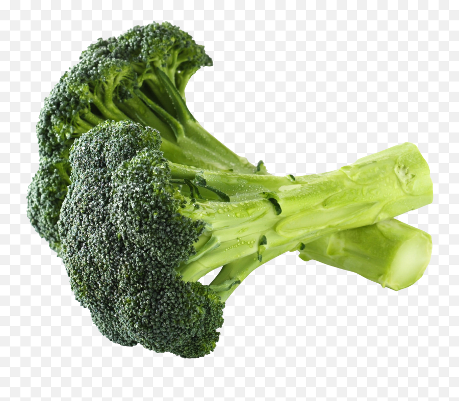 Broccoli Png Free File Download - Brocoli Png Emoji,Broccoli Png