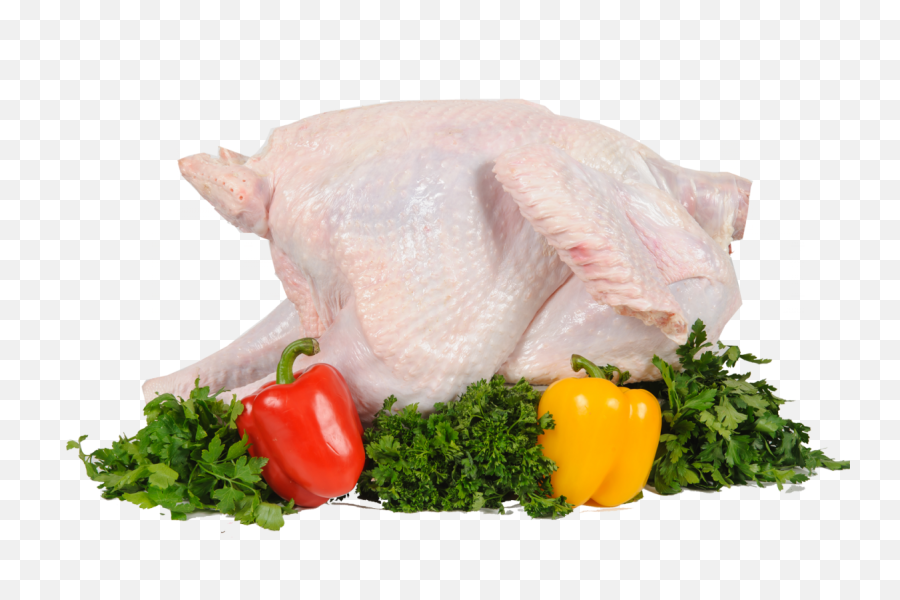 Thanksgiving Turkey Png Free Download - Turkey Meat Hd Png Emoji,Turkey Png