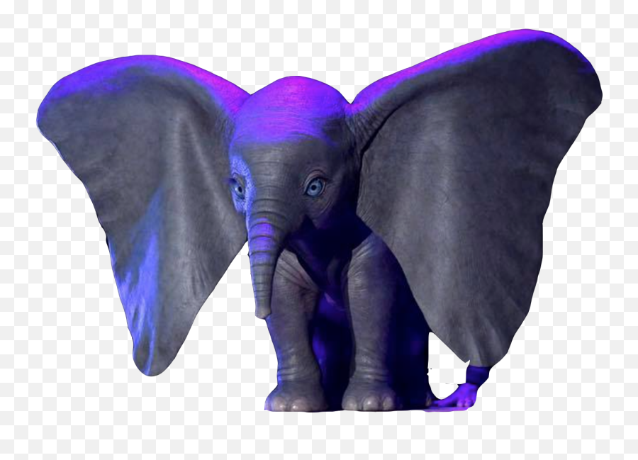 Dumbo - Dumbo 2019 Png Emoji,Dumbo Png