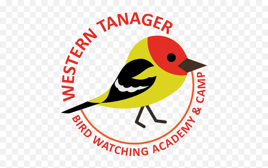 Western Tanager - Bird Watching Academy Emoji,Bird Feeder Clipart