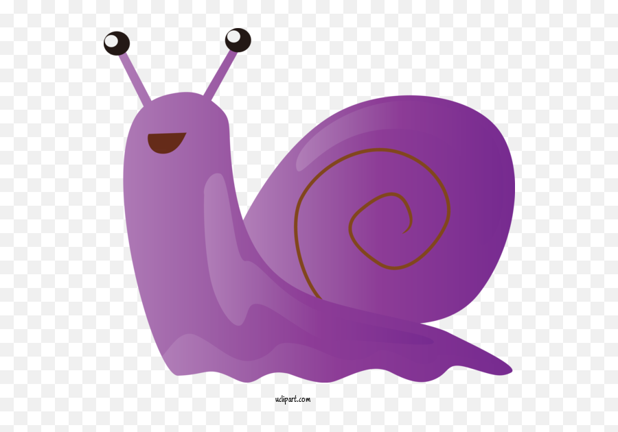 Animals Snails And Slugs Snail Slug For Snail - Snail Emoji,Slug Png