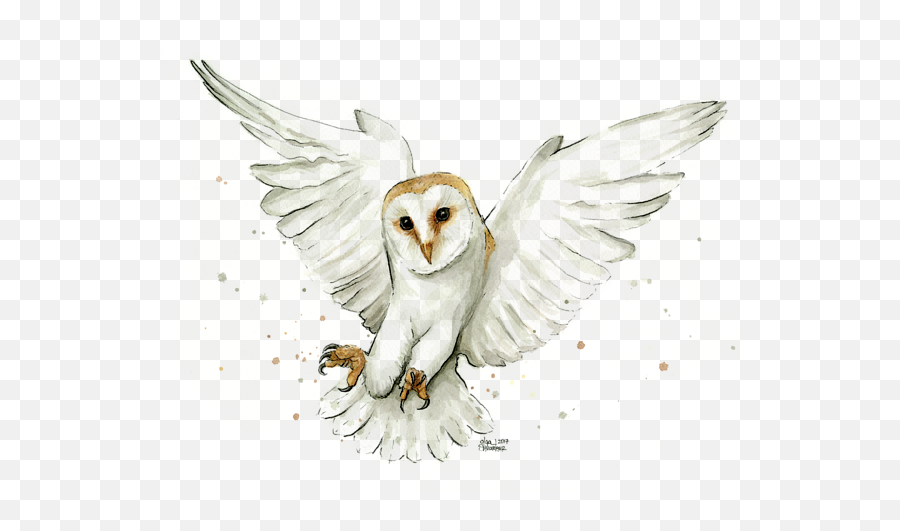 Barn Owl Flying Watercolor Sweatshirt - Barn Owl Watercolour Emoji,Owl Png