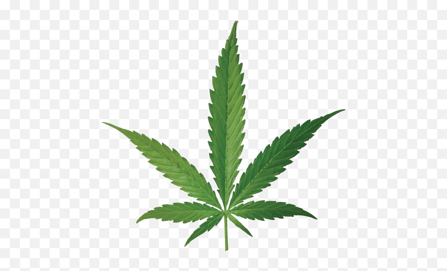 Cannabis Smoking Joint Leaf Bud - Cannabis Png Download Hemp Oil Emoji,Cannabis Png