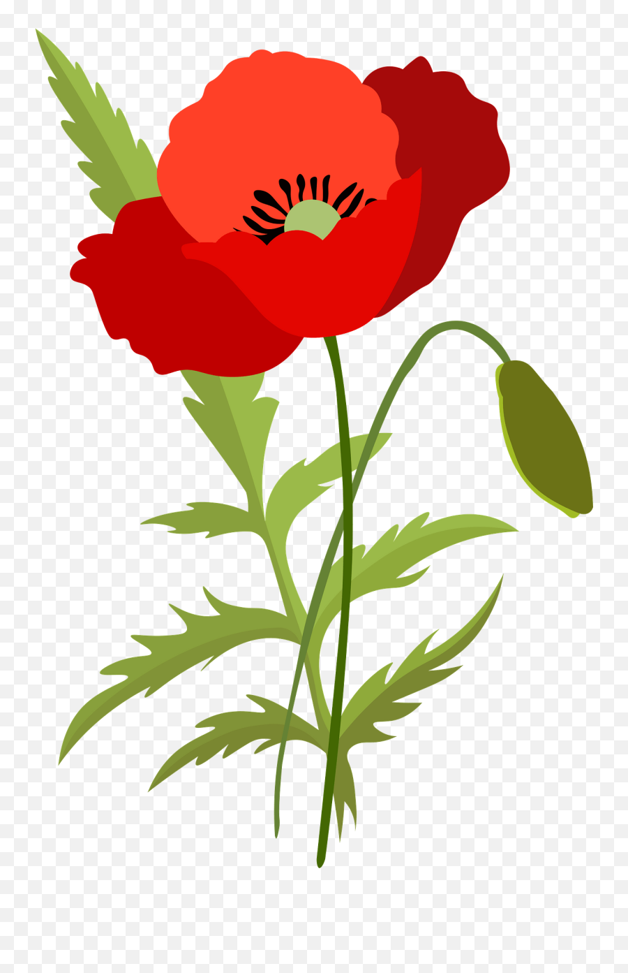 Poppy Flower Clipart - Poppy Flowers Clipart Png Emoji,Poppy Flower Clipart
