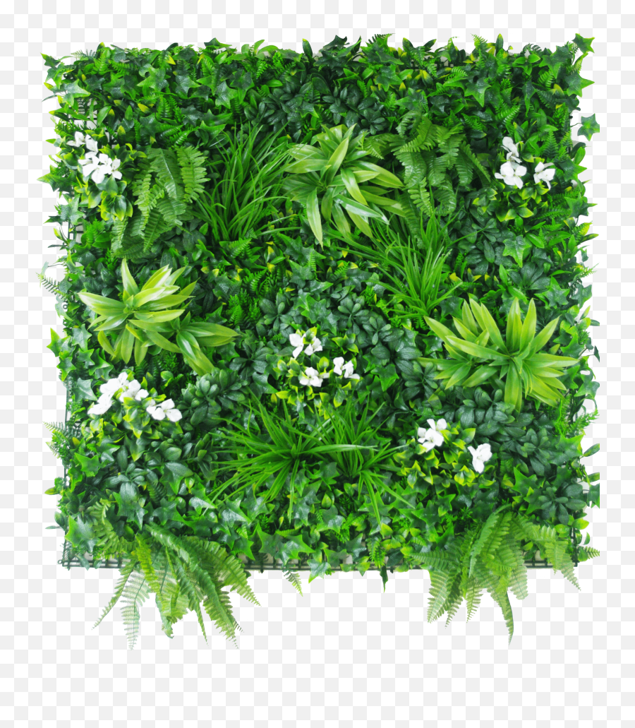 Vertical Garden Green Wall Png Emoji,Green Wall Png