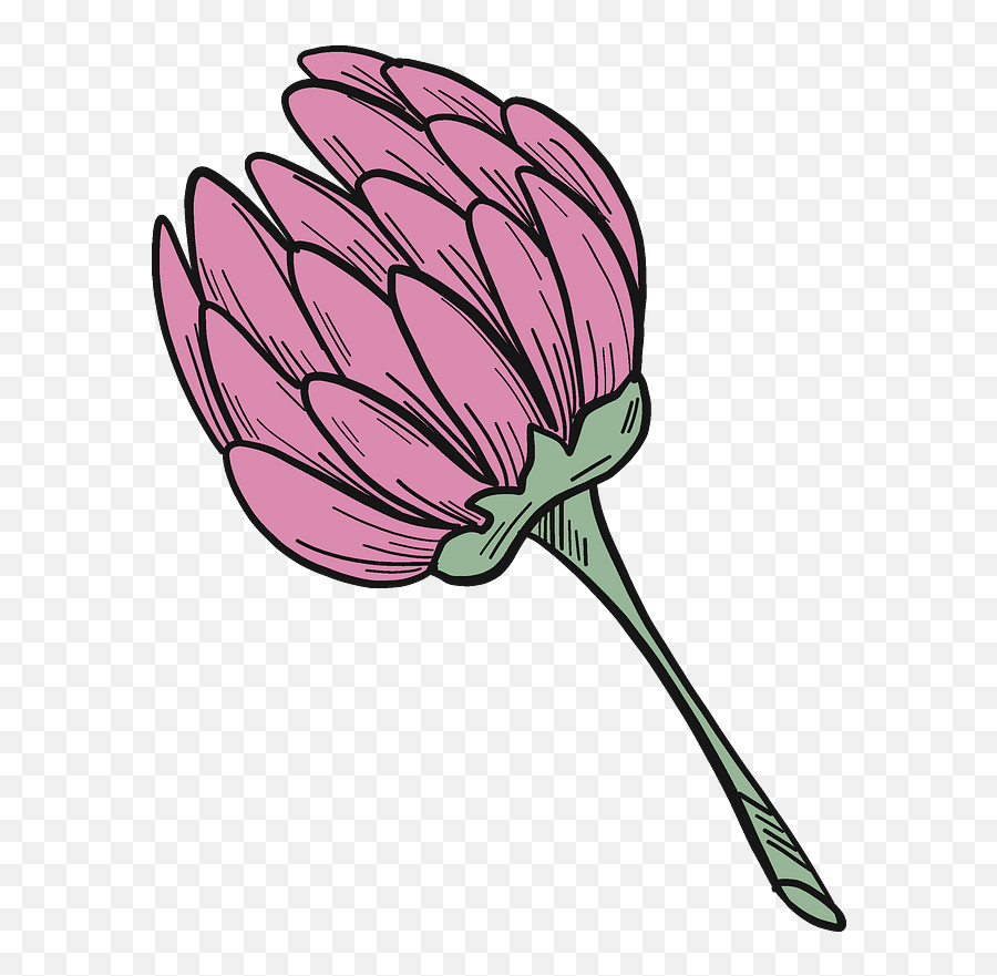 Clover Flower Clipart Free Download Transparent Png Emoji,Clipart Of Flowers