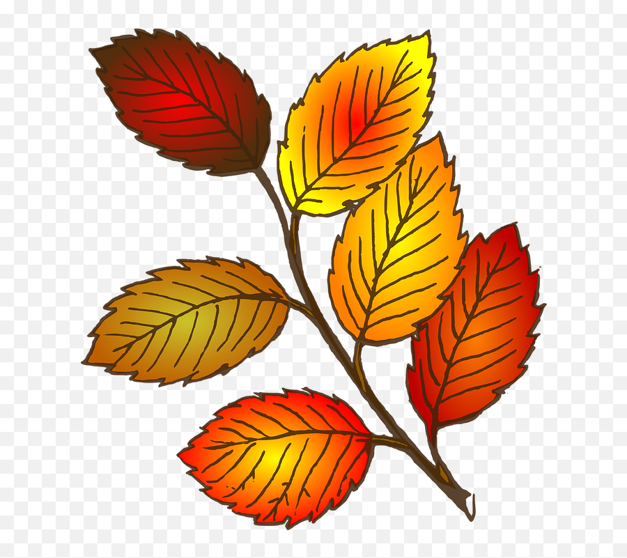 Fall Leaf Clipart - Leaf Clipart Black And White Emoji,Fall Leaves Clipart