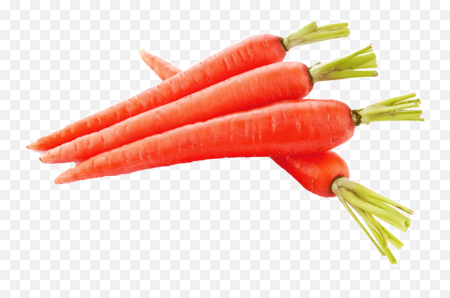 Download Carrot 1 Kg - Gajar Vegetable Full Size Png Image Red Carrot Emoji,Carrot Transparent Background