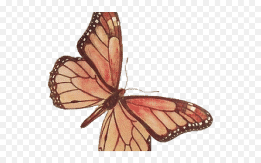 Monarch Butterfly Clipart Transparent - Vintage Butterfly Clip Art Emoji,Butterflies Clipart