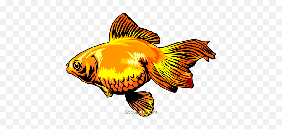 Goldfish Royalty Free Vector Clip Art Illustration - Anim0325 Goldfish Vector Png Emoji,Goldfish Clipart