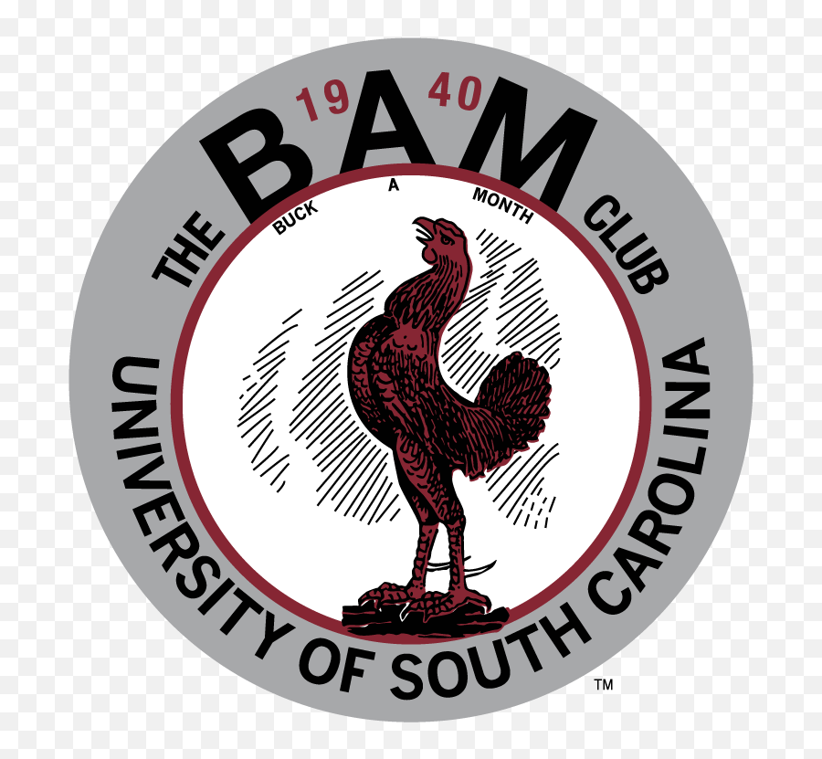 South Carolina Gamecocks Logo University Of South Carolina - University Of South Carolina Emoji,University Of South Carolina Logo