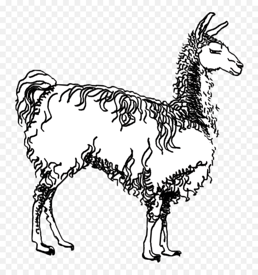 Ola Wasilewska - Czytanie Menazerii Animal Figure Emoji,Llama Clipart Black And White