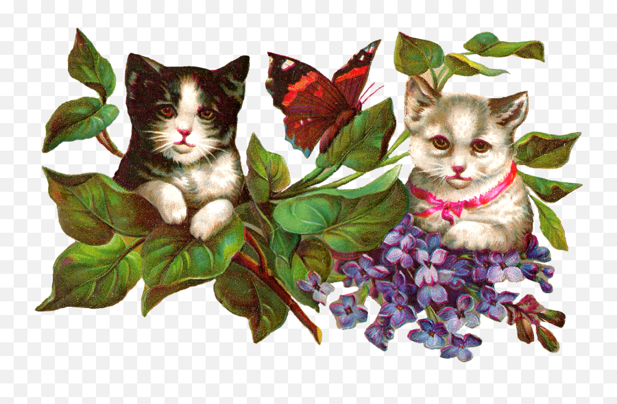 Clipart Flowers Cat Clipart Flowers - Domestic Cat Emoji,Cat Clipart
