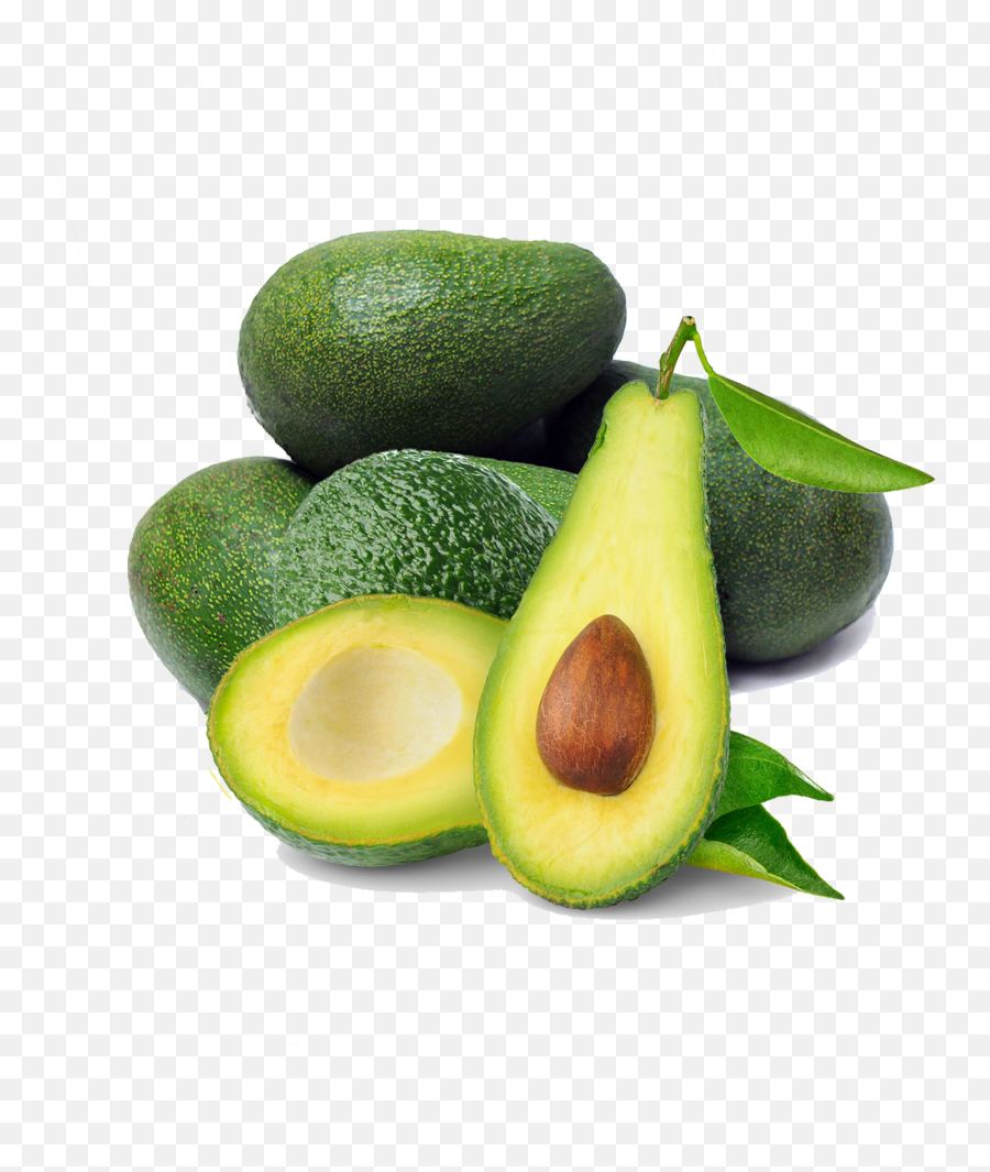Free Avocado Tree Emoji,Avocado Clipart