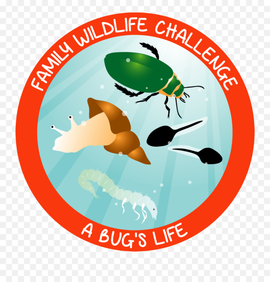 A Bugu0027s Lifeu0027 At Rockwell Nature Reserve - Tees Valley Emoji,A Bug's Life Logo