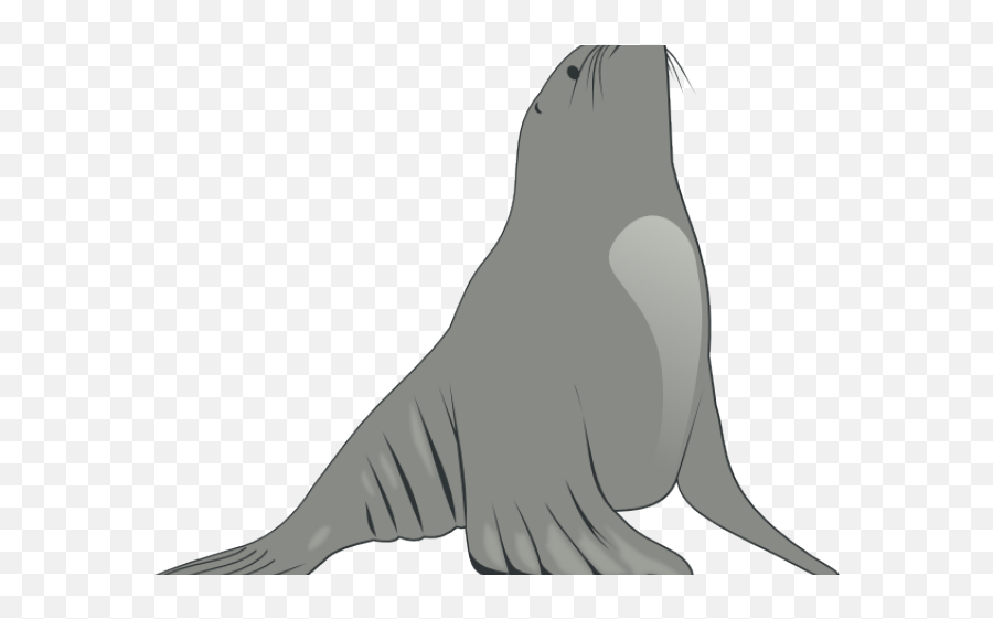 Seal Animal Png - Sea Lion Cartoon Emoji,Lion Clipart