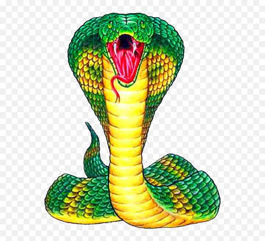 Download King Cobra Snake Clipart Png - Cobra Snake Drawing Emoji,Snake Clipart