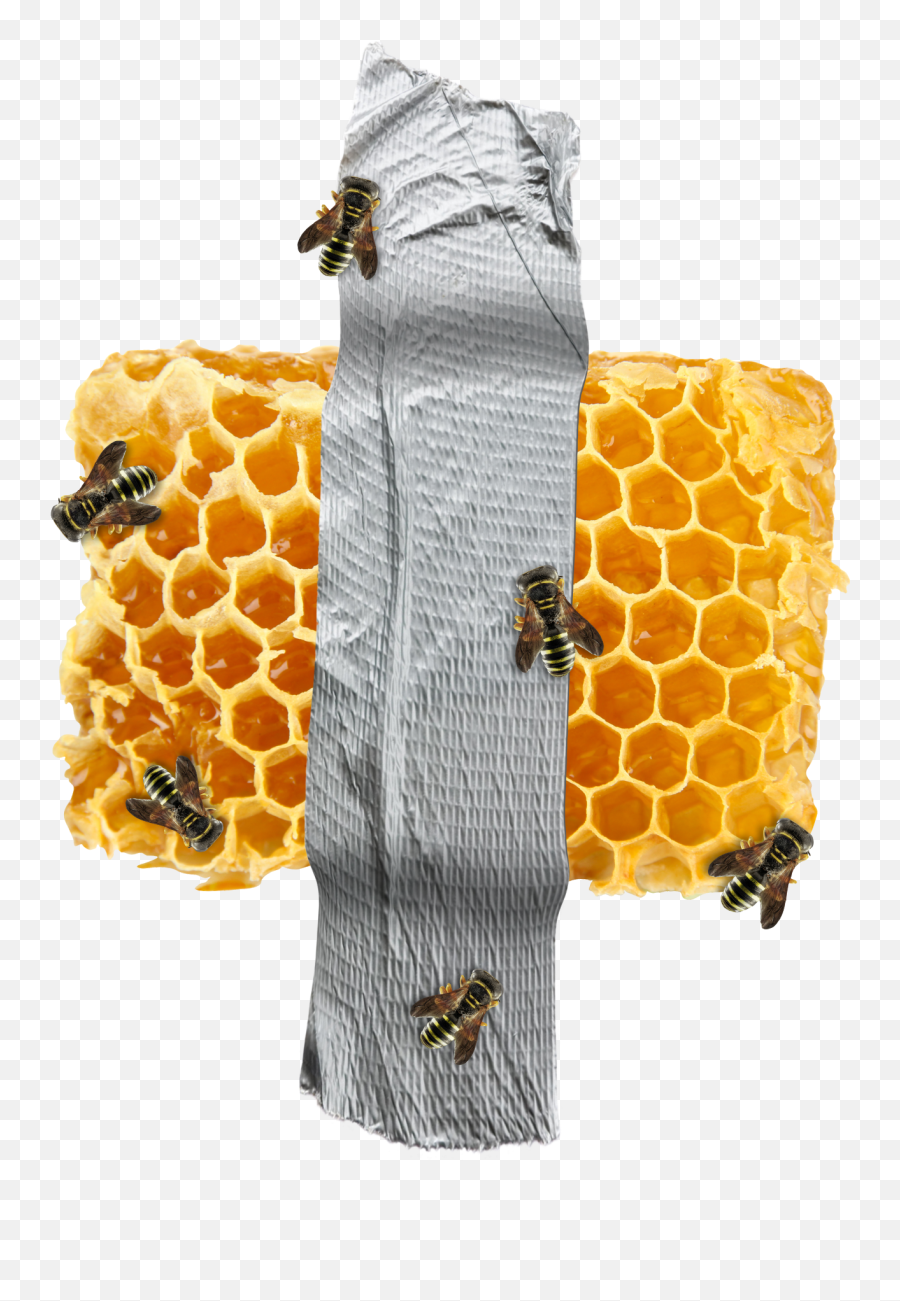 Organic Honeycomb Png Clipart Png Mart - Honey Bees Emoji,Beehive Clipart
