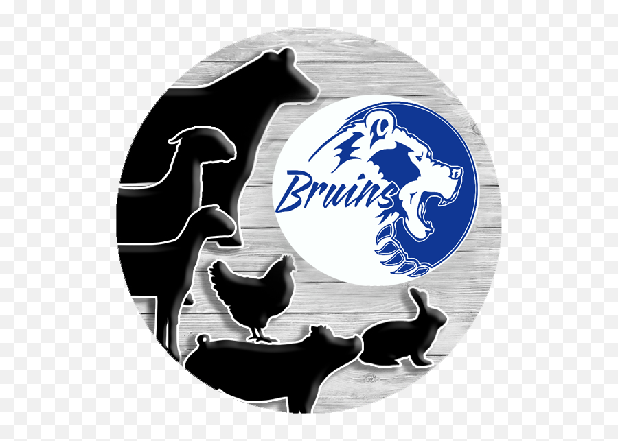 4h Home - Bartlesville Bruins Emoji,4h Logo