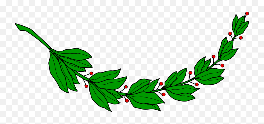 Branch Laurel Leaf Leafy Leaves Png - El Salvador Flower Clipart Emoji,Laurel Leaves Png