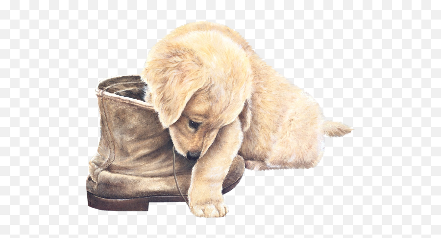 Pin By Isabelle C On Act Animaux Clipart Puppies Animals - Guten Morgen Neue Woche Emoji,Labrador Clipart
