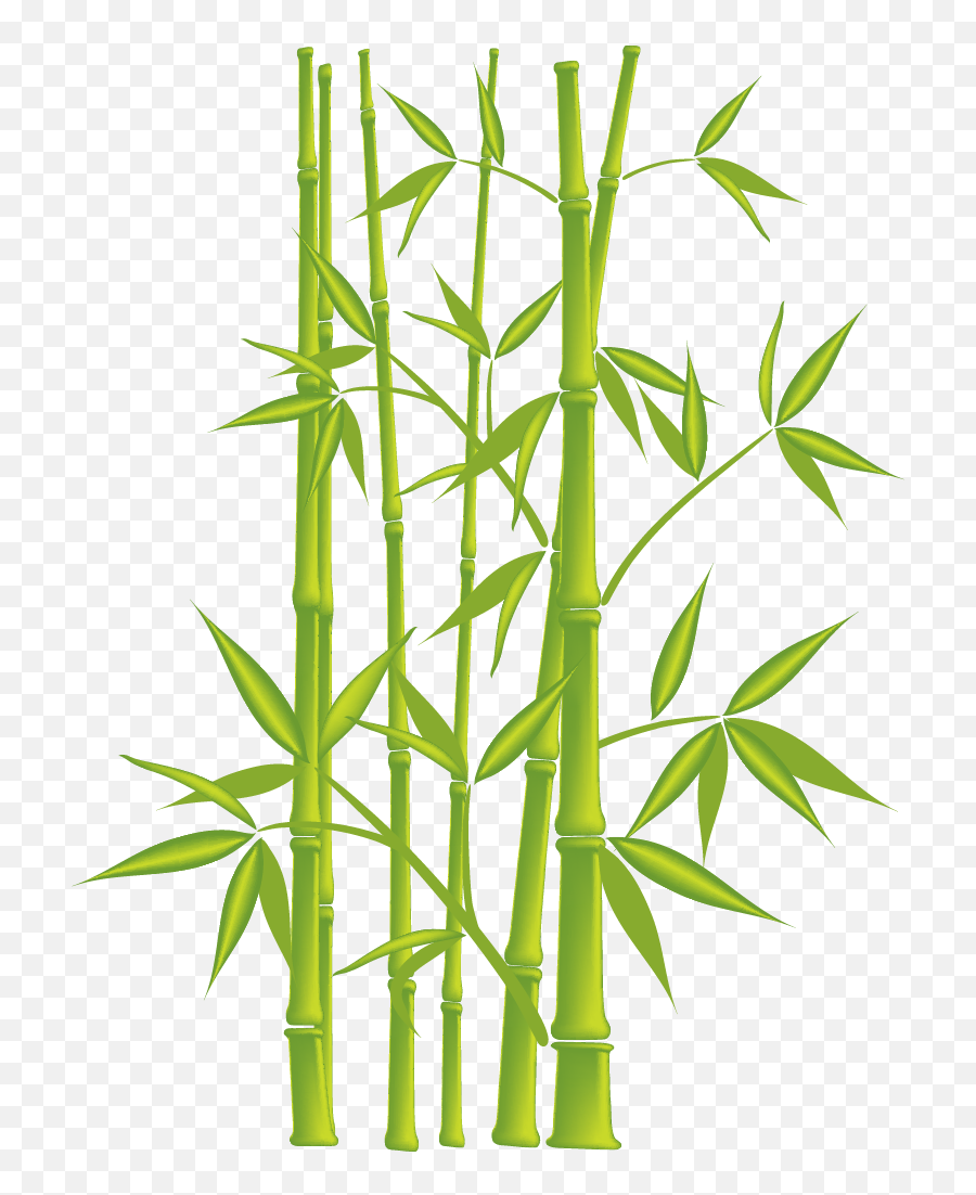 Bamboo Plants Png - Easy Bamboo Tree Painting Emoji,Living Room Png