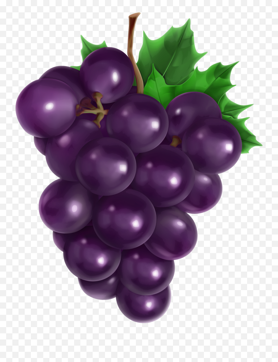 Grapes Clip Art Clipart - Grapes Clipart Png Emoji,Grapes Clipart