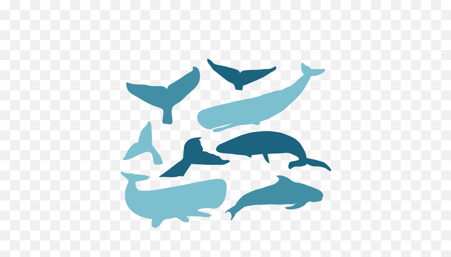 Whale Svg Download Whale Svg Emoji,Whale Tail Clipart