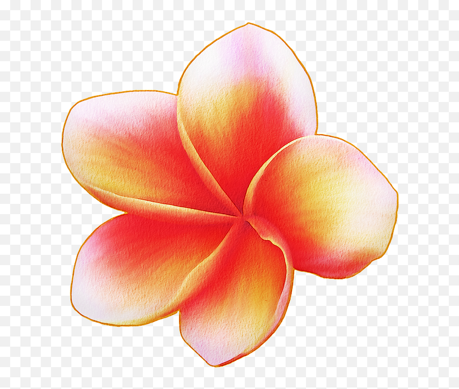 Watercolor Flowers Floral Pink - Free Image On Pixabay Emoji,Water Color Flower Png