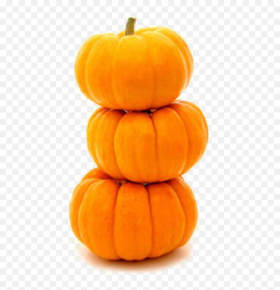 Pumpkin Png Free Download 30 Emoji,Pumpkin Png