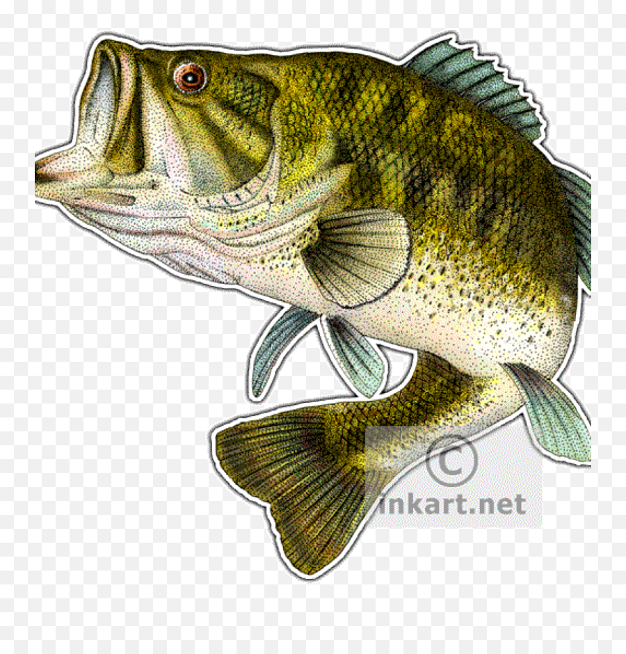 Silhouette Largemouth Bass Bass Clipart - Gone Fishing Fishing Clipart Emoji,Fishing Clipart