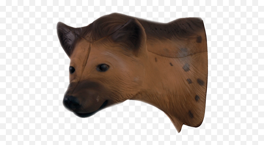 Download African Hyena Head - Hyena Head Png Emoji,Hyena Png
